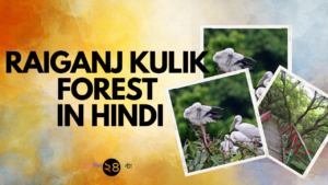 Raiganj Kulik Forest in Hindi